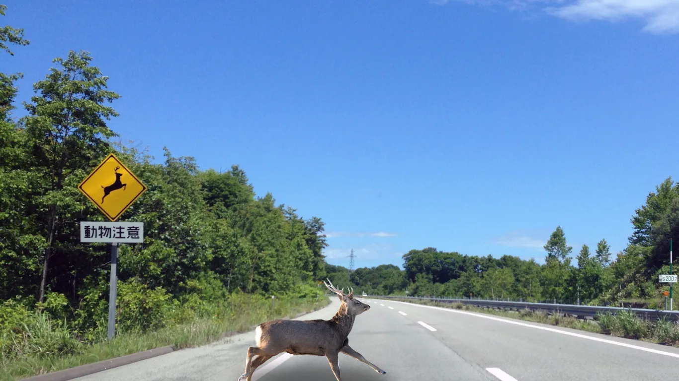 rersj hero3 rersj hero3